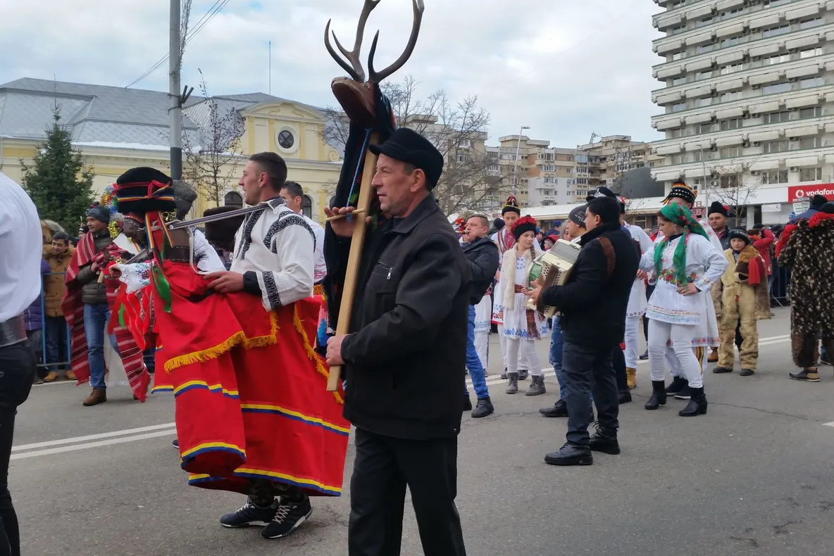 Arctic a început recrutarea pentru fabrica de la Ulmi