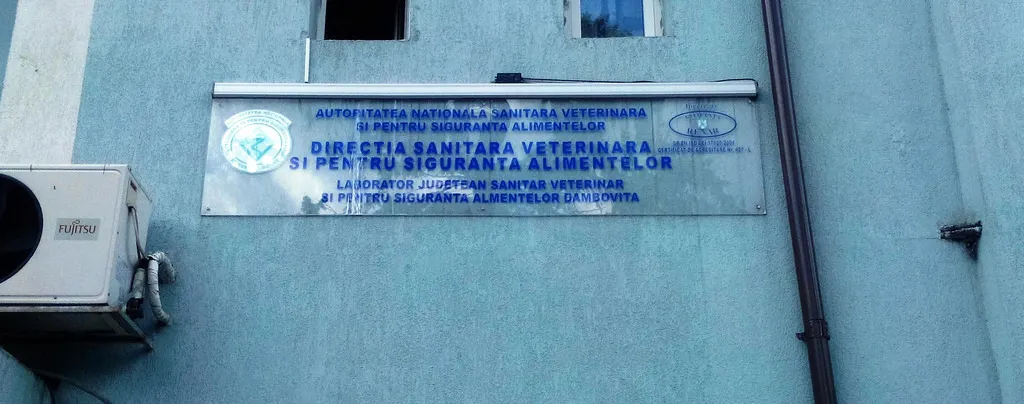 DSVSA Dâmbovița a dat primul verdict de tuberculoză bovina din România