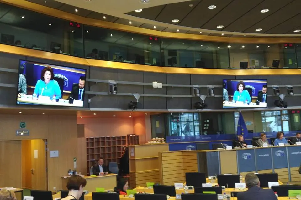 Rovana Plumb prezintă, la Bruxelles, prioritățile Președinției Române a Consiliului UE, în Comisia REGI a Parlamentului European