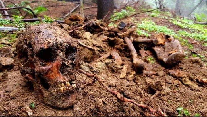 Craniu uman găsit pe munte, în timpul acţiunii de căutare a lui Andrei Haiduc