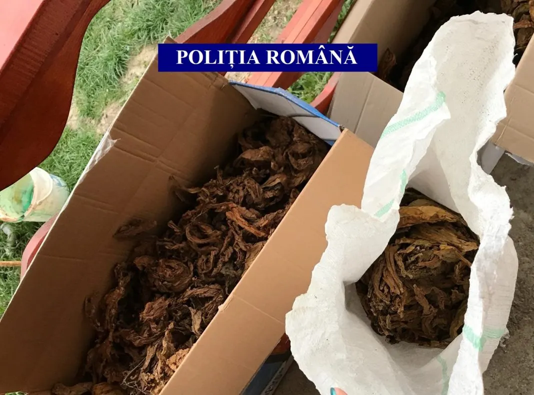 Șapte persoane reținute într-un dosar de comercializare ilegală de tutun