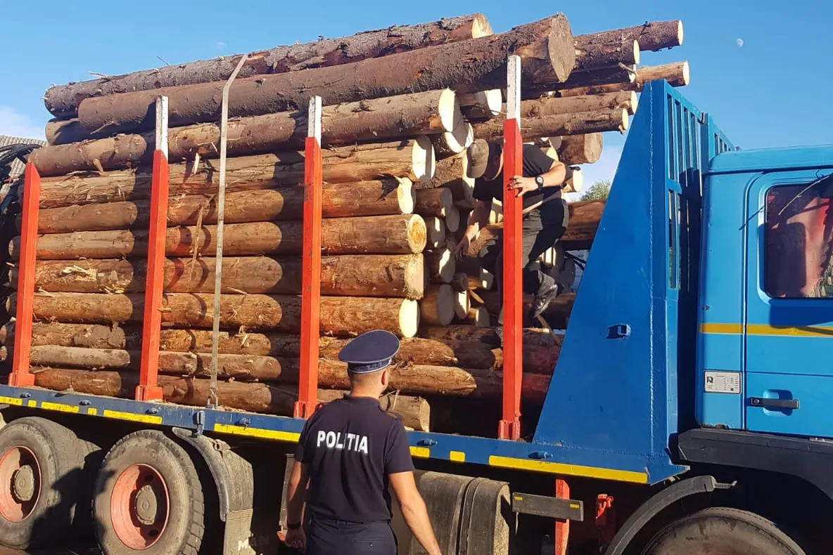 Lemn confiscat de polițiști, la Mătăsaru