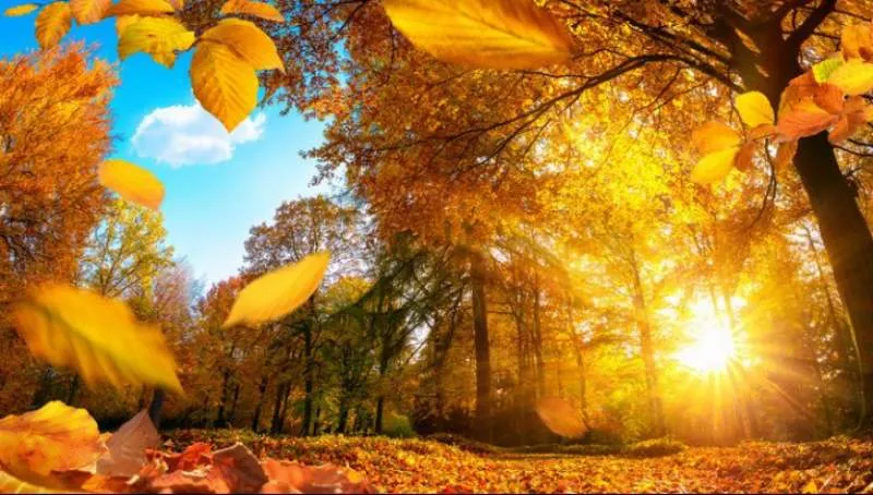Prognoza meteo lunară. Cum arată estimările meteorologice pentru următoarele 4 săptămâni