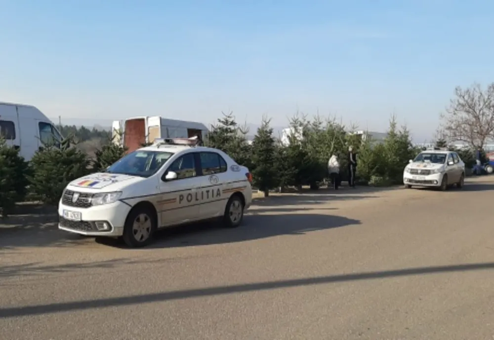O "pădure" întreagă de lemn și mii de brazi, confiscați de polițiști, înainte de sărbători