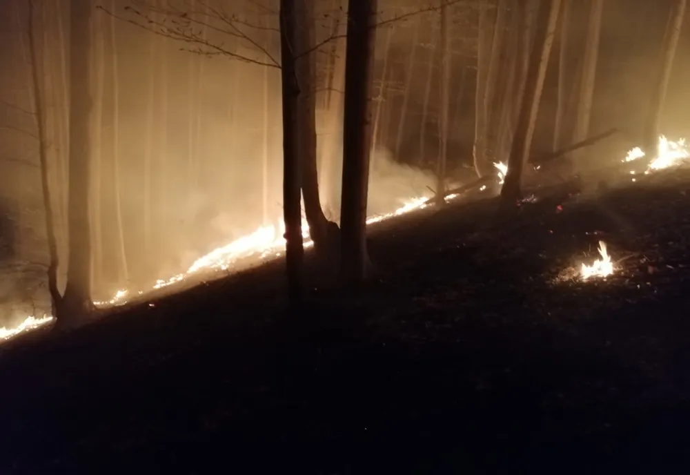 Video| Dezastru la Iedera, în Dâmbovița. 20 de hectare de pădure cuprinse de flăcări. "E mai rău ca în cimitir,de Paște", spun pompierii