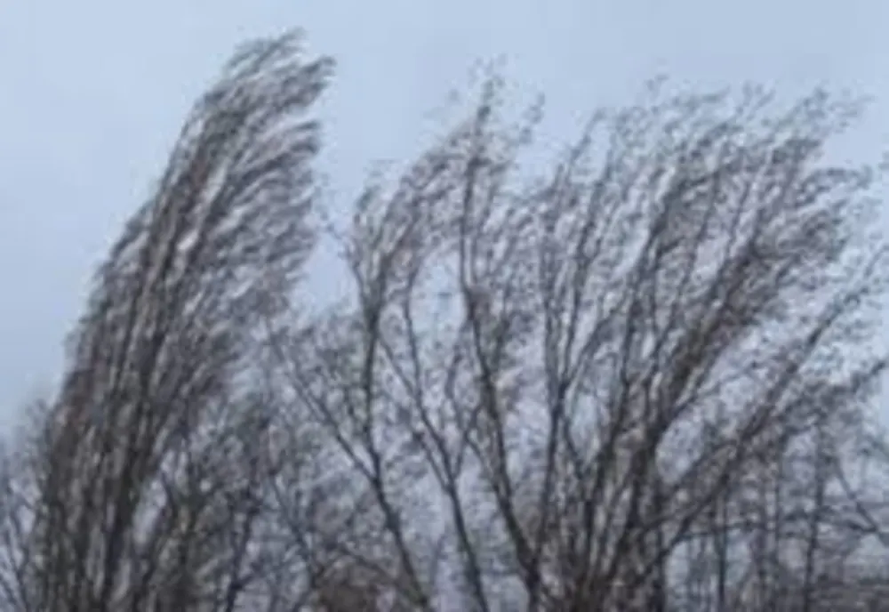 Atenționare meteo! Cod galben de vânt și viscol și în zona montană din Dâmbovița (6-7 mai)