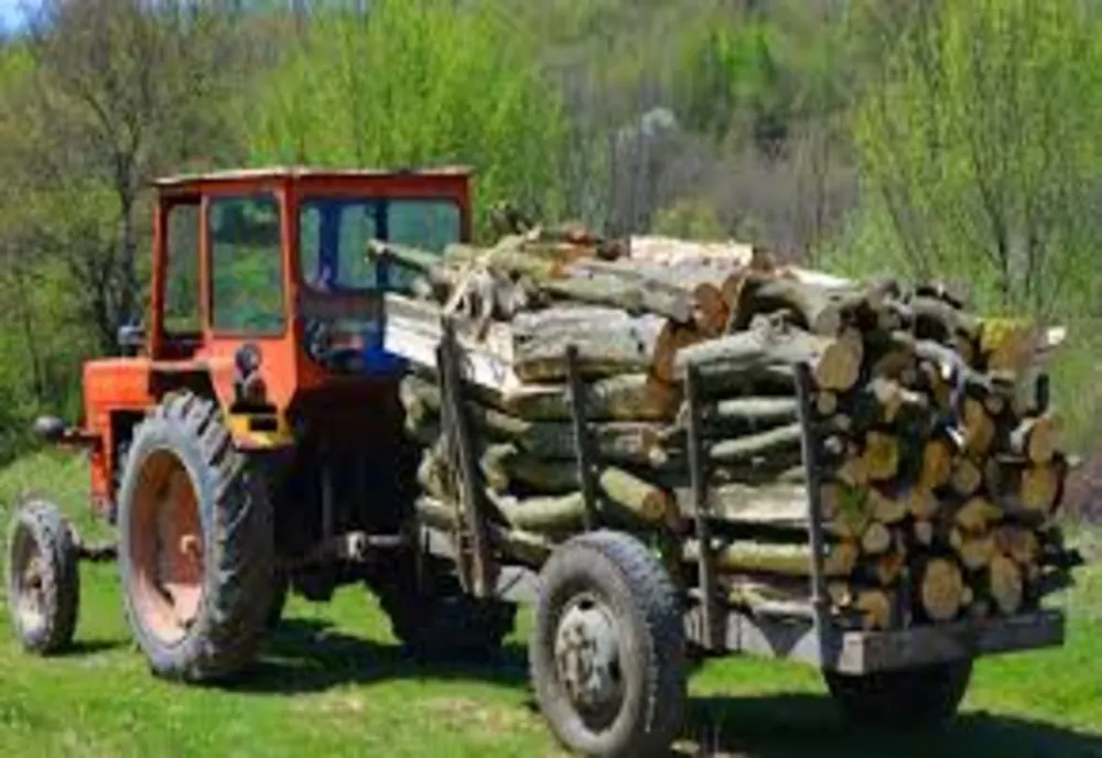 O femeie din Dâmboviţa a murit după ce un lemn dintr-o remorcă i-a căzut în cap  