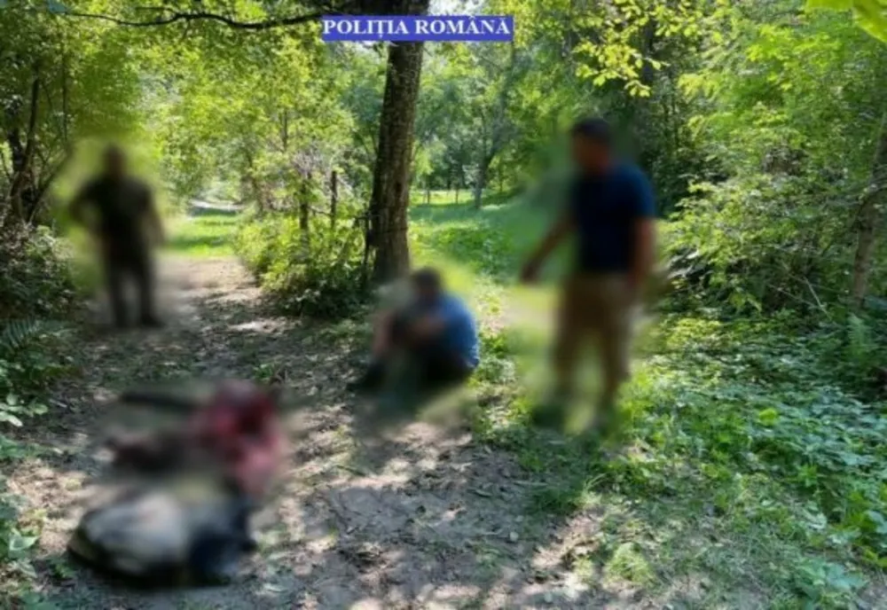 Dâmbovița: Doi braconieri, prinși cu un urs tranșat în mașină. Unul dintre ei a sărit cu un cuțit la vânătorii care i-au depistat