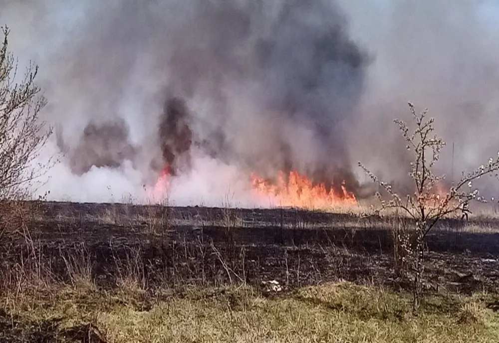 Incendiu violent în Dâmbovița! Arde o suprafaţă întinsă de vegetație uscată
