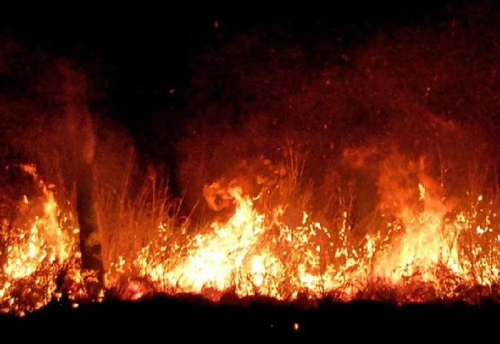 ALBANIA ȘI BULGARIA CER AJUTOR EUROPEAN PENTRU A FACE FAȚĂ INCENDIILOR DE VEGETAȚIE