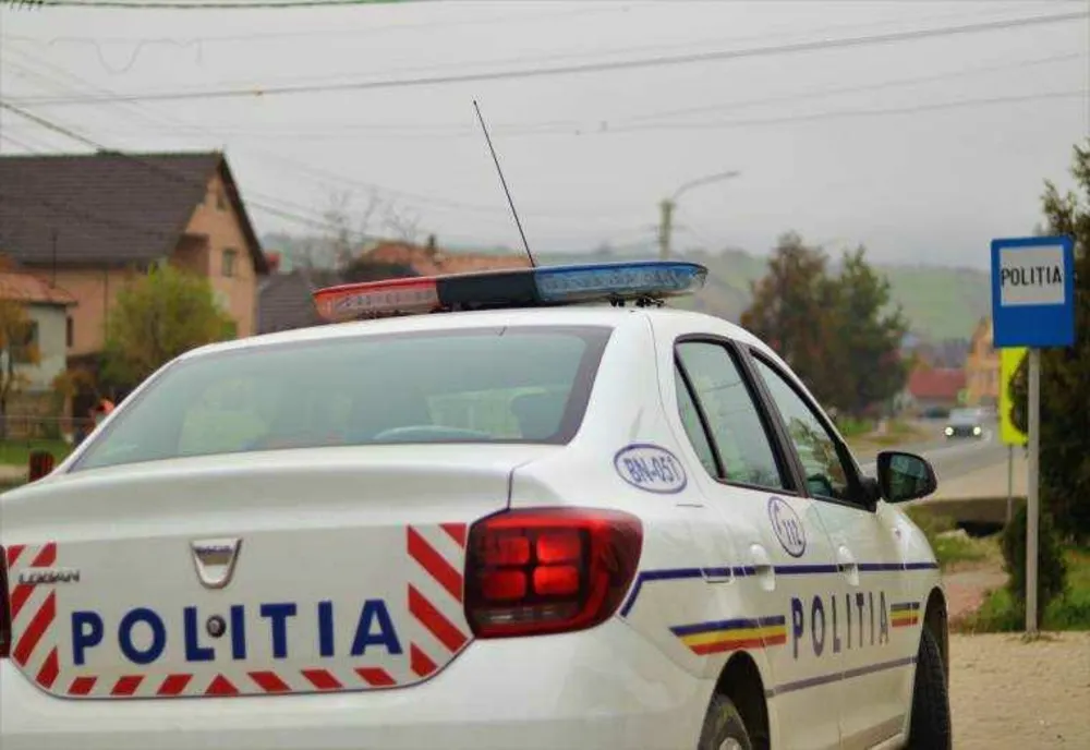 Aproape o tonă de articole pirotehnice interzise, ridicate de poliție în Dâmbovița