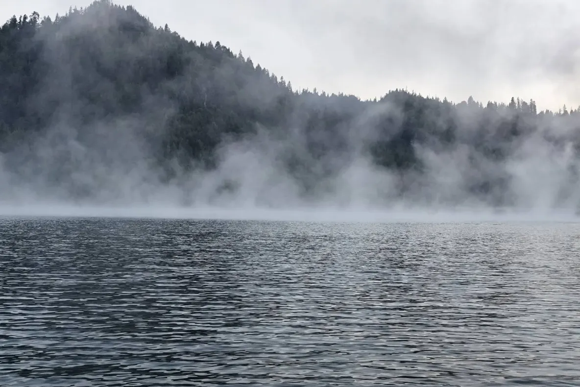 O femeie din Dâmbovița, găsită moartă în lacul Brebu