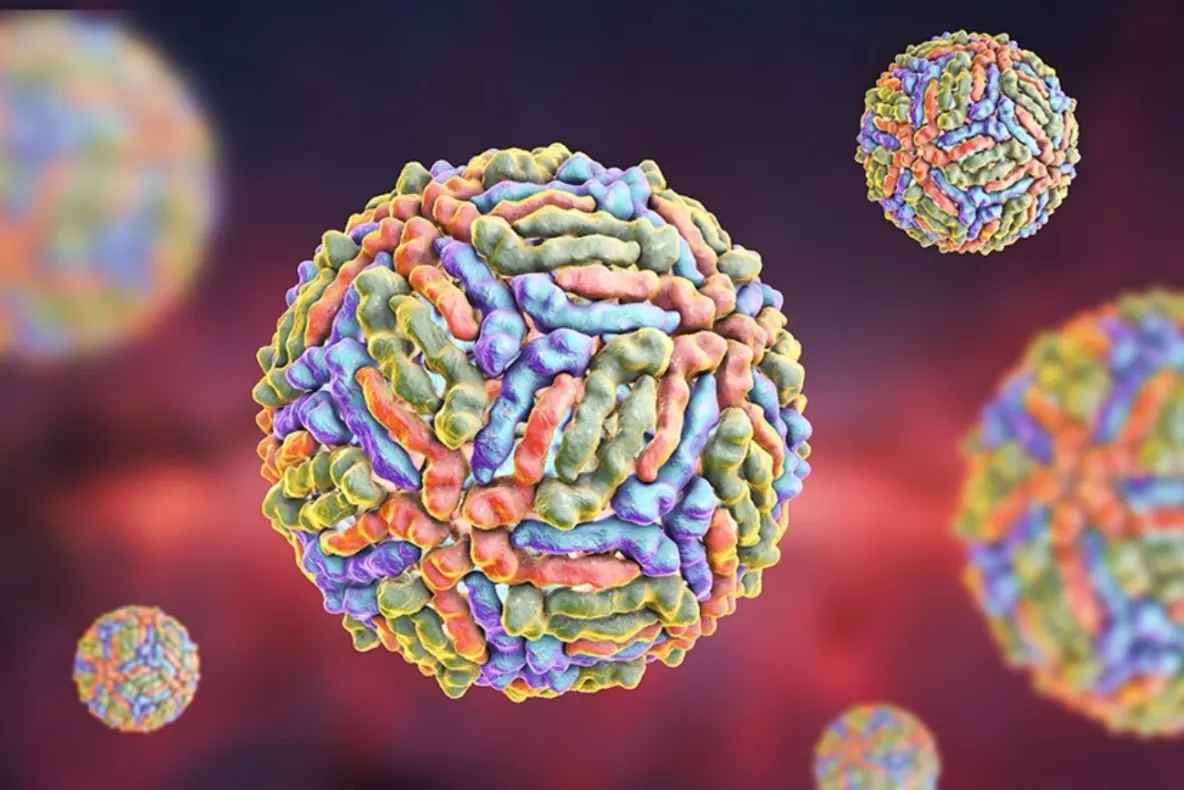INSP: Un singur caz de infecție cu virusul West Nile, confirmat în județul Dâmbovița în 2026