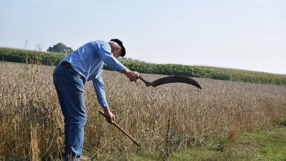 Prețul pentru îngrășământ s-a dublat. Alimentele vor deveni mult mai scumpe