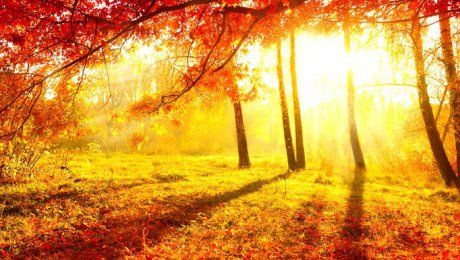 Vreme frumoasă în weekendul în care românii sunt chemați la vot