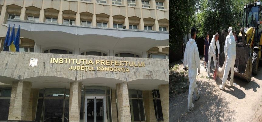 Au "stins" focarul de pestă porcină africană, de la Lucieni. Era singura zonă afectată de PPA,din Dâmbovița