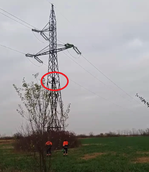 Supărat pe primar, un bărbat din Merișu s-a urcat pe un stâlp de curent