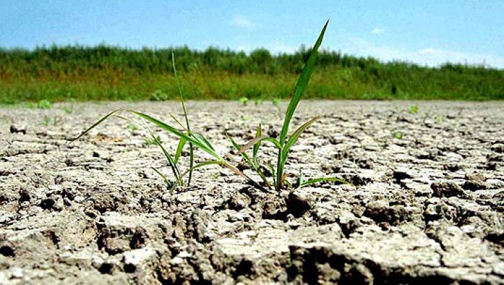 Sectorul legume-fructe va fi lovit crunt în 2019 din cauza secetei din 2018