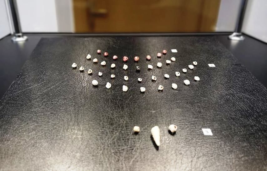 FOTO Istoria celor mai vechi artefacte expuse vreodată în vreun muzeu din România