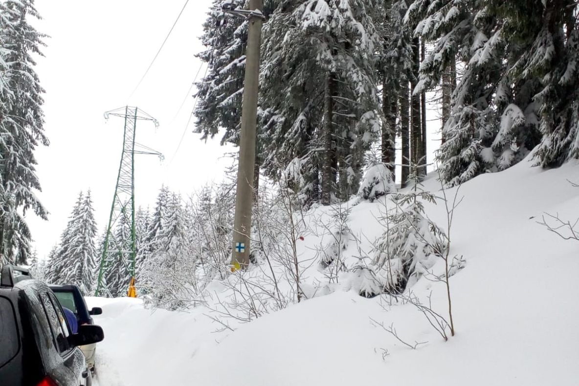 Copaci căzuți au blocat DJ 714. Poliția sfătuiește turiștii să nu mai folosească drumul