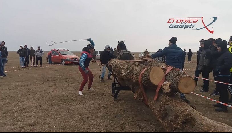 VIDEO După ce au fost botezați, caii au fost supuși la chinuri groaznice. „Bă, omorâți calul, bă oameni buni”