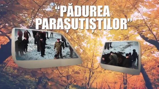 Militarii în rezervă ai fostului Regimentul 64 parasutiști din Boteni plantează stejari în Cartierul Tineretului din Ghimpați