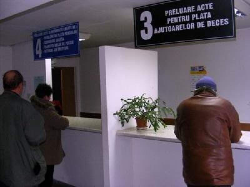 Pisicile au mâncat din stăpânul casei, mort de câteva zile