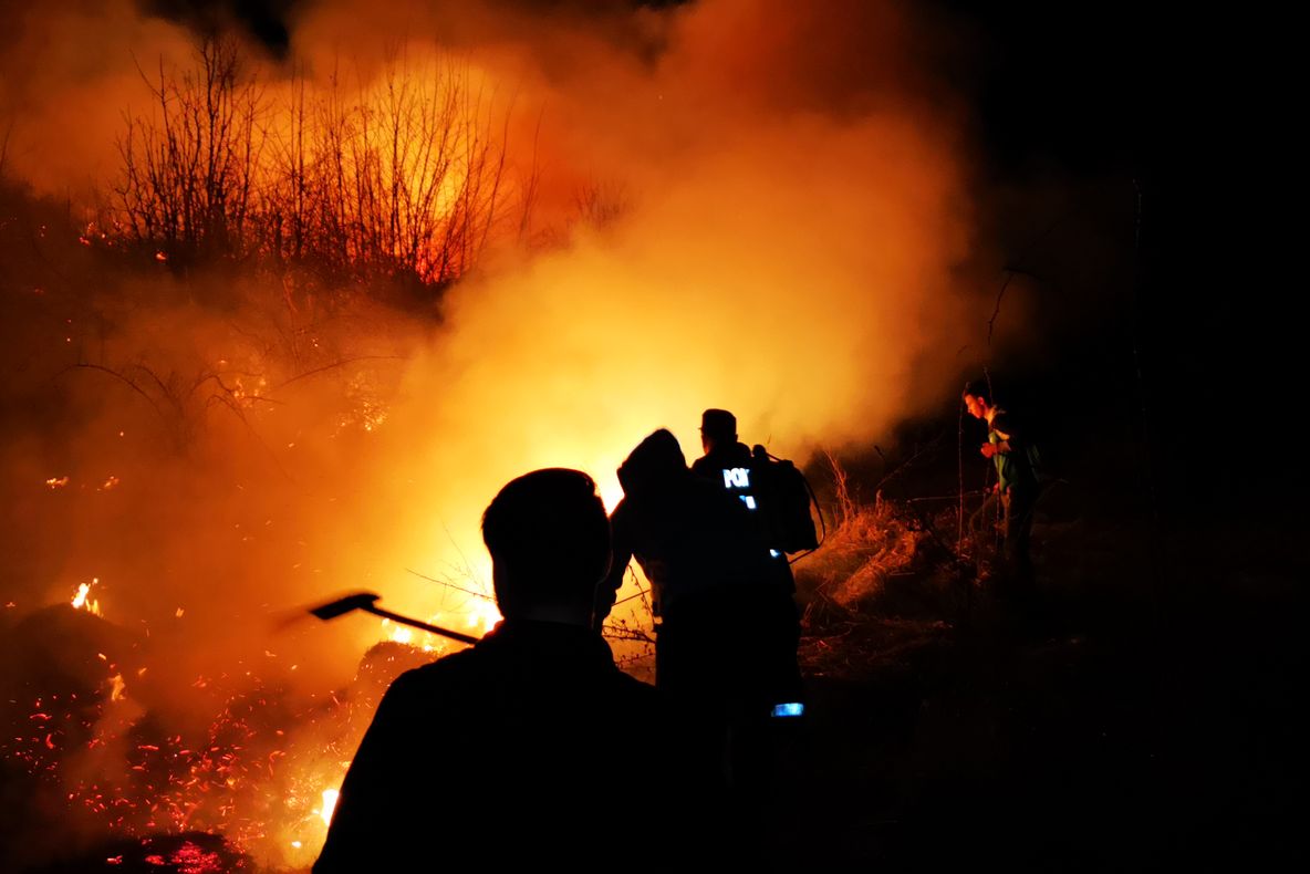 VIDEO 12 hectare de vegetatie uscată, mistuite de flăcări, la Aninoasa