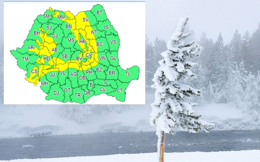 Cod galben de vânt, în zona montană dâmbovițeană