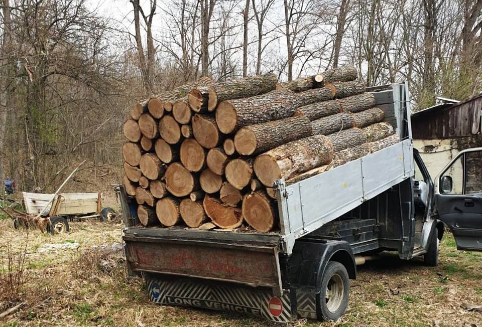 Argeșean amendat și lemn confiscat, pentru lipsă documente de proveniență material lemnos