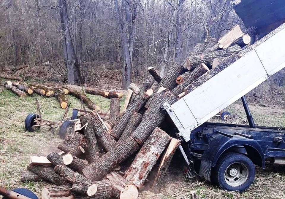 Transporta cu totul altceva decât scria în acte. Lemn confiscat și amendă pentru un șofer dâmbovițean