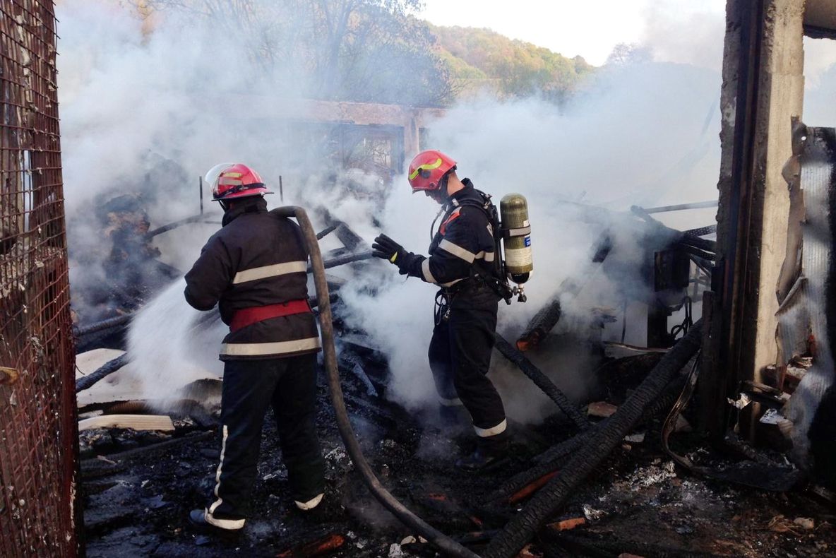 FOTO| Hală de prelucrarea lemnului distrusă de flăcări, la Pucioasa