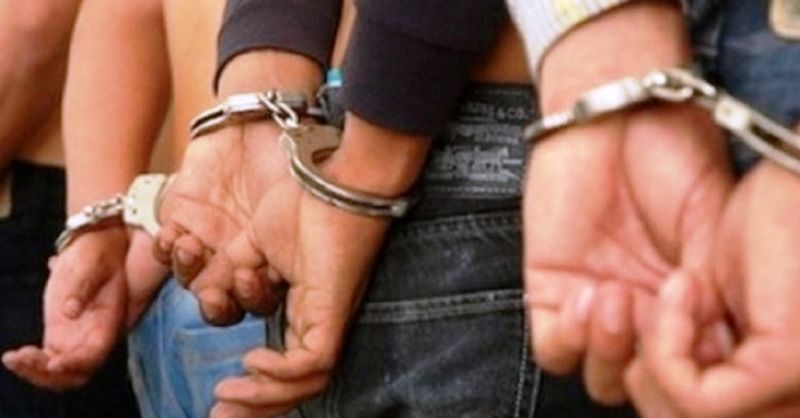 Hoții de porci, din Giurgiu, reținuți de polițiștii dâmbovițeni