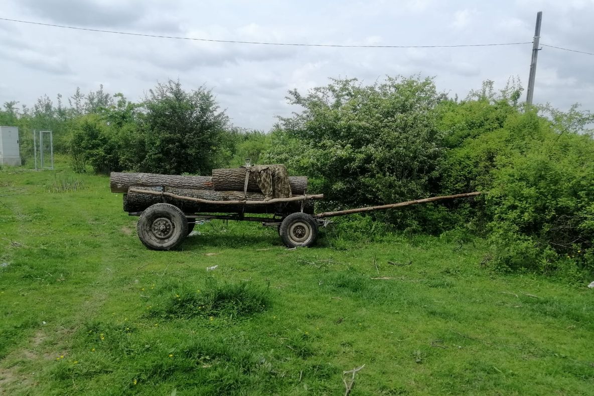 Copil de șapte ani accidentat  de o căruță folosită la transport ilegal de material lemnos