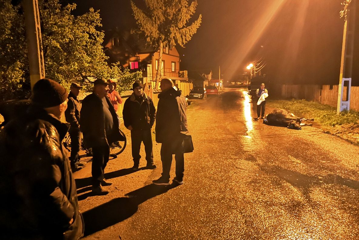 VIDEO Trei vaci, secerate de un arc electric produs la un cablu neasigurat. Două au scăpat însă una dintre ele a pierit sub ochii ciobanului