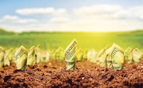 Peste 23.000 de fermieri din Dâmbovița au cerut sprijin pentru suprafețele agriole