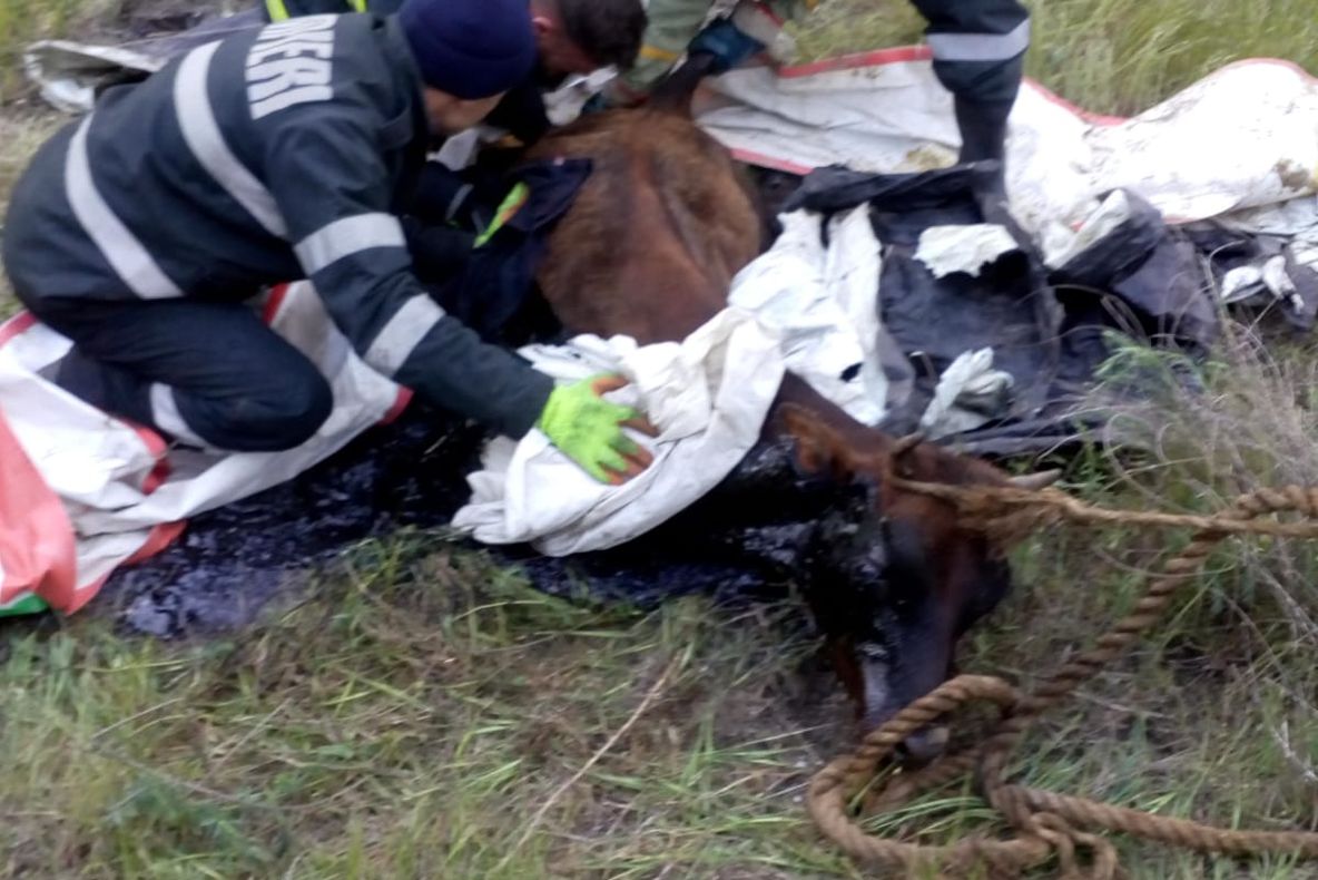 "Și tu poți deveni salvator!"Concurs de admitere în structurile M.A.I