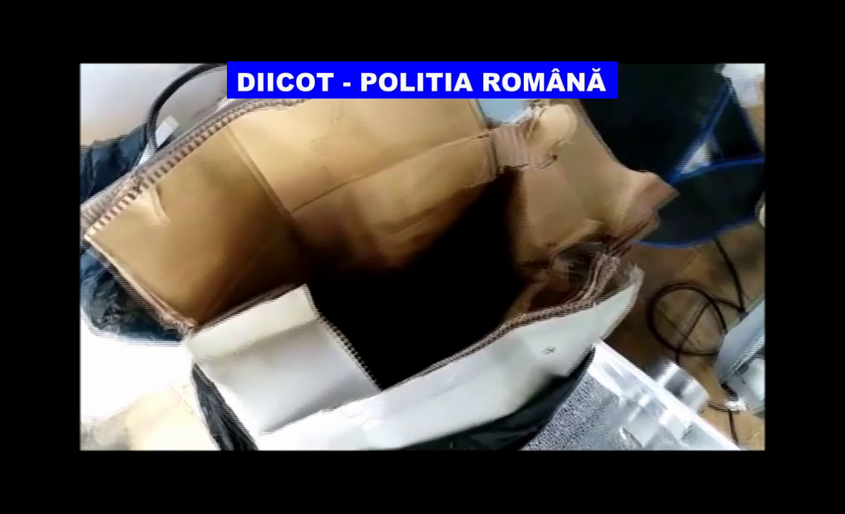 VIDEO Rețea de traficanți de droguri destructurată în urma unor percheziții în Bucureşti şi Dâmboviţa