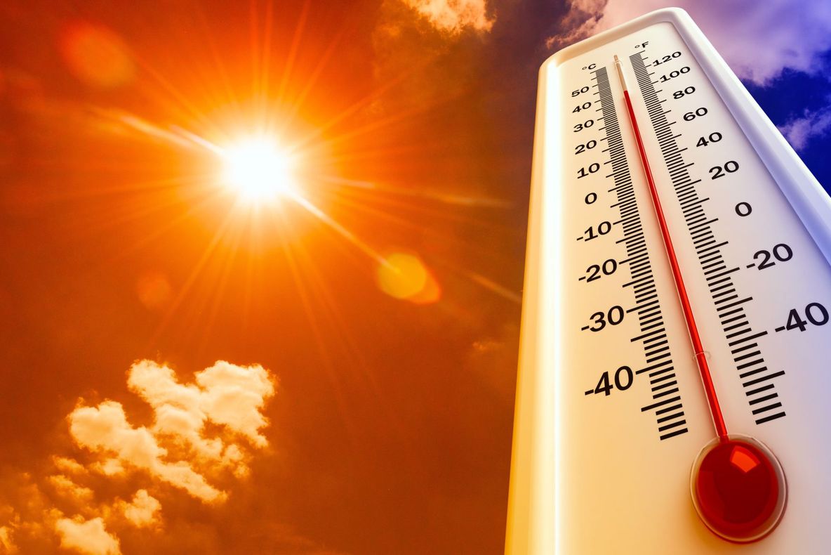 Obligațiile angajatorilor în perioadele caniculare