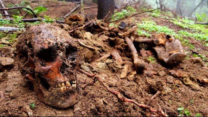 Craniu uman găsit pe munte, în timpul acţiunii de căutare a lui Andrei Haiduc