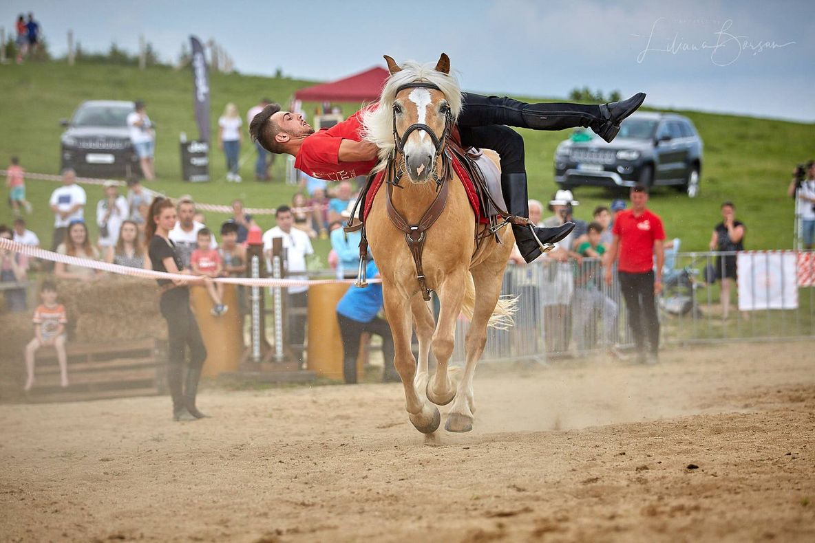 Cum au „dansat” dresorii din Runcu și caii lor, la Haidook Summer Fest 2019