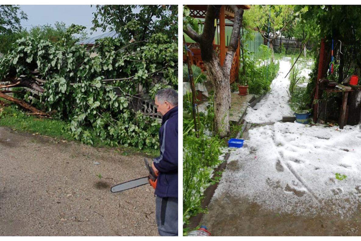 FOTO Prăpăd în Valea Mare. A căzut gheață din cer minute în șir, iar vântul puternic a doborât copacii