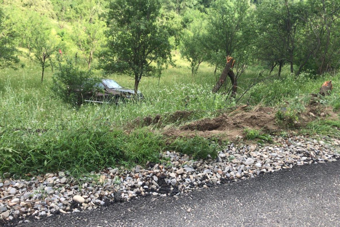 A ieșit în decor cu autoturismul. Noroc cu un copac ce a pus capăt "aventurii"