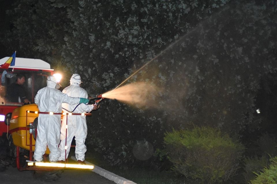 În "război" cu insectele. Dezinsecție prelungită la Târgoviște