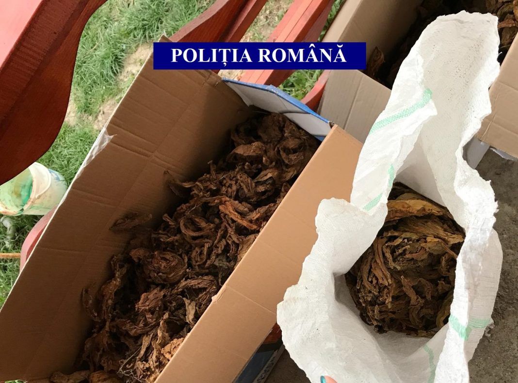 Șapte persoane reținute într-un dosar de comercializare ilegală de tutun