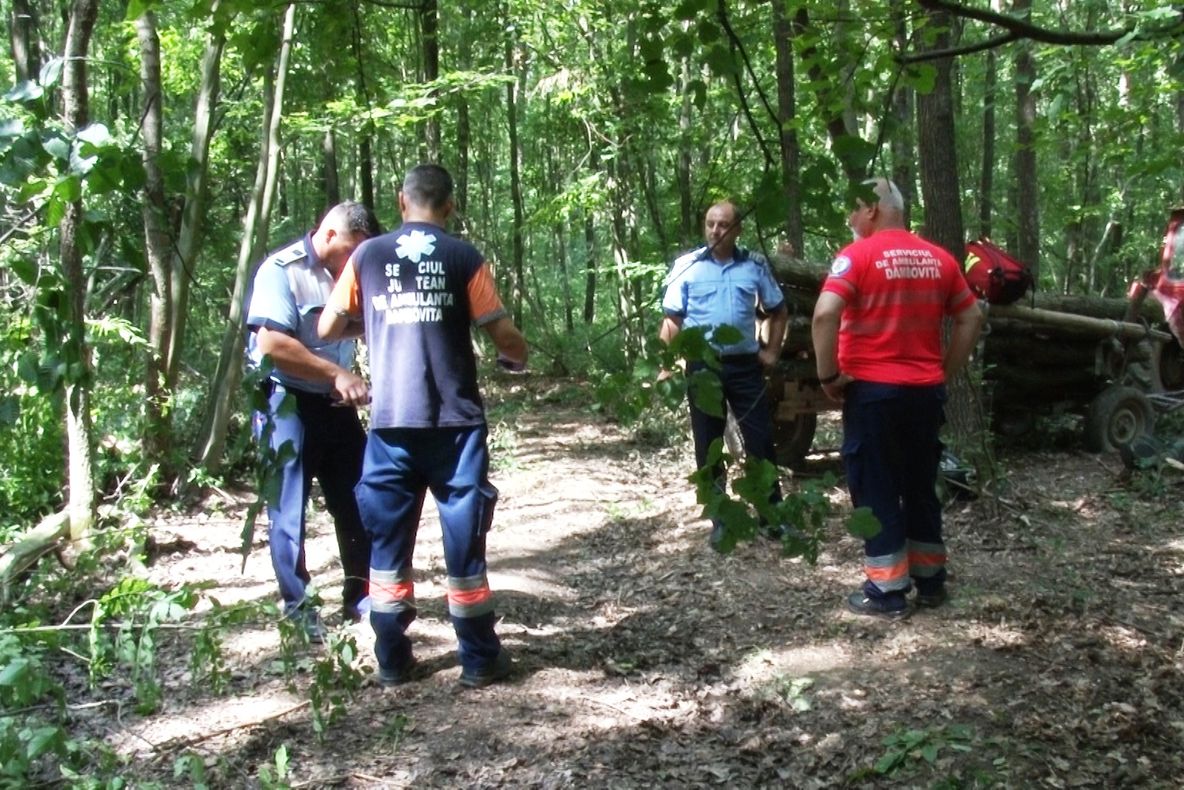 VIDEO Pădurar omorât, se pare, de caniculă. „A căzut dintr-o dată. Cred că de la căldură a fost”