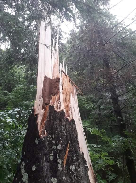Haine cu numele unor mărci celebre, confiscate de jandarmi