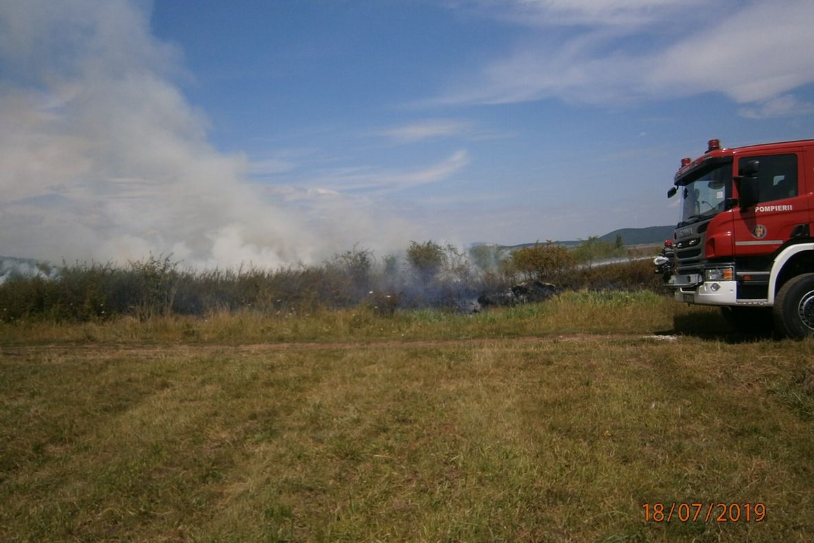 Doi copii de 13 ani au desfigurat în bătaie un bărbat din Potlogeni Vale. S-au năpustit asupra lui cu măciucile