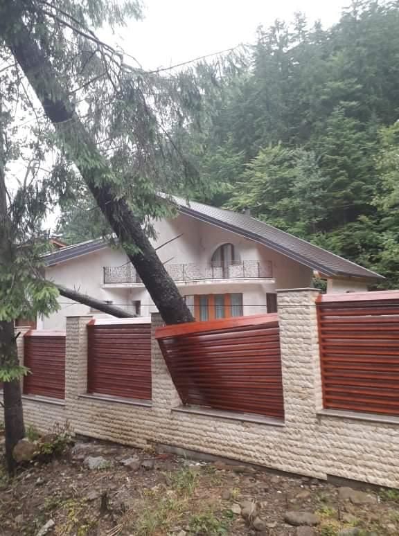 Foto| Steagul românesc arborat pe al doilea vârf ca înălțime, din Bulgaria, de montaniarzii dâmbovițeni