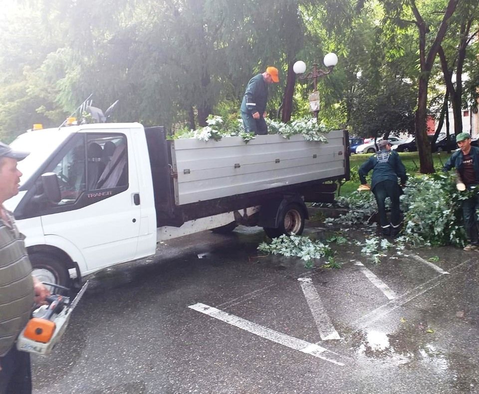 60 de angajați au muncit pentru a îndepărta copacii rupți ăn urma vijeliei din Târgoviște